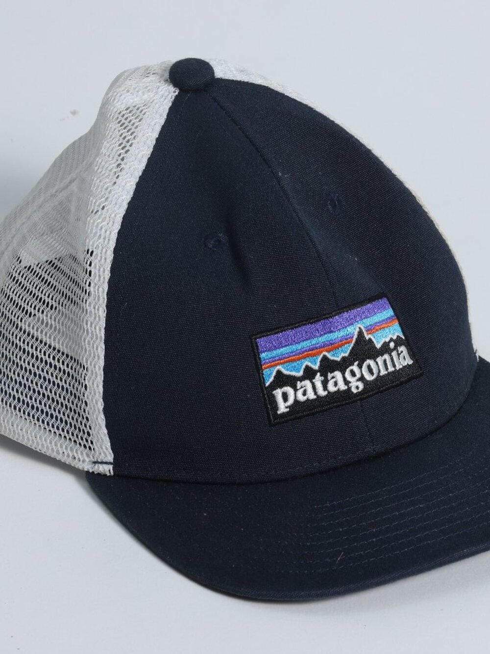 Patagonia Blue Logo Trucker Snapback Hat